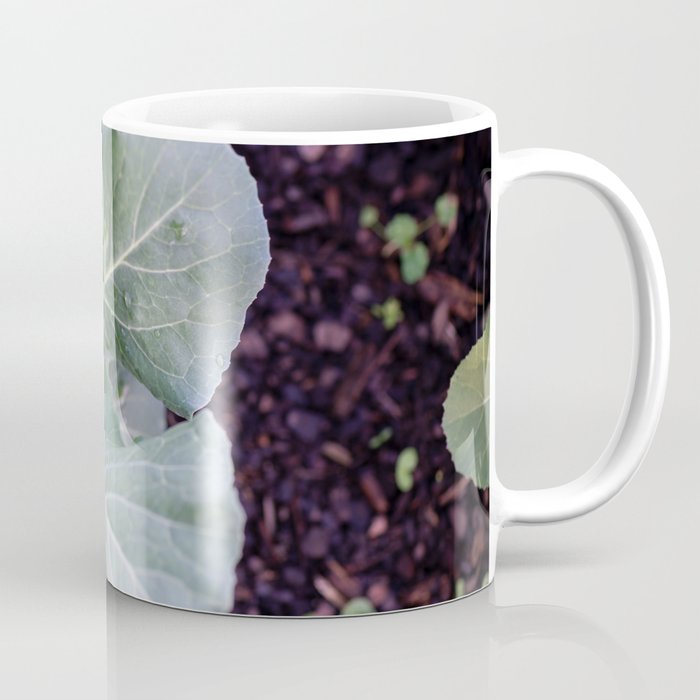 Cabbage Patch Coffee Mug