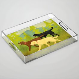 Labrador Dog Hike Acrylic Tray