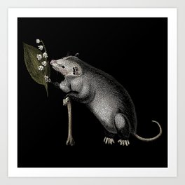 Opossum & Lily Of The Valley Art Print