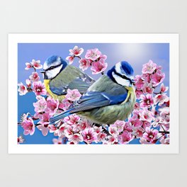 Blue Tit Birds On Blooming Branches Art Print