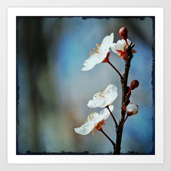 Profile Art Print