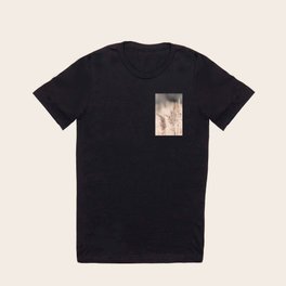 Neutral Tone Pampas Grass, Reed T Shirt