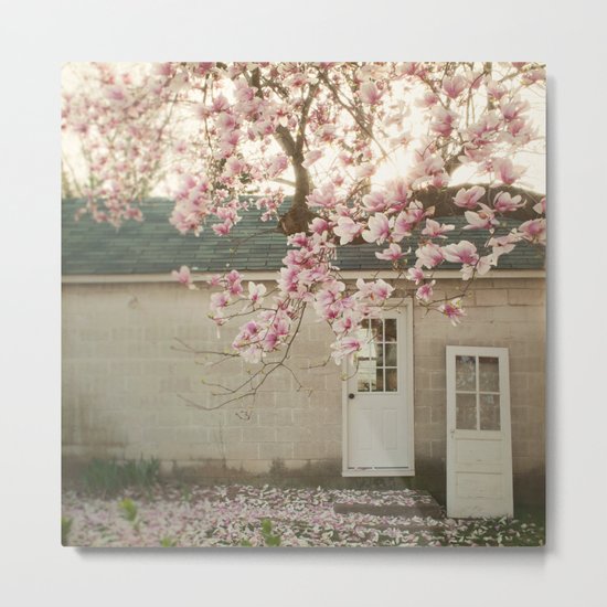 Magnolia Tree Metal Print