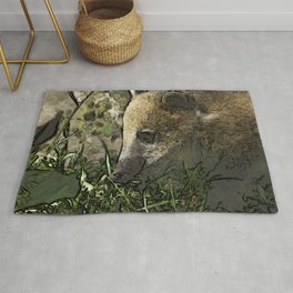 toony coati Rug