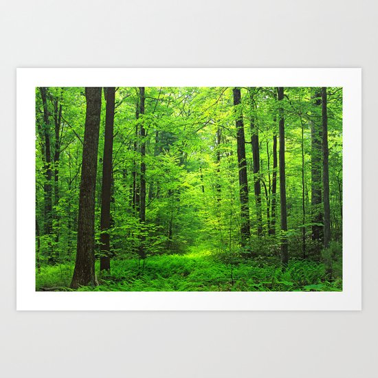 Forest Art Print