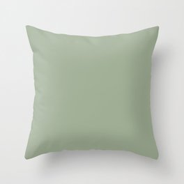Muted Pastel Green Solid Color Pairs Behr Roof Top Garden S390-4 / Accent Shade / Hue / All One Throw Pillow