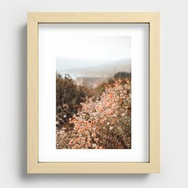 Pink Poppies Recessed Framed Print