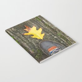 Autumn leaves 3 Notebook