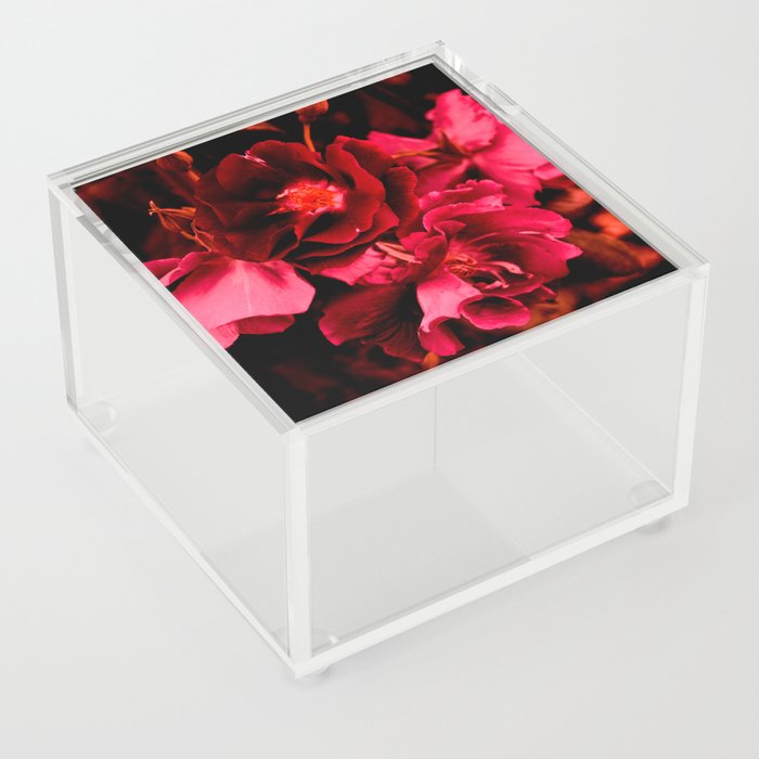 Seeing red Acrylic Box