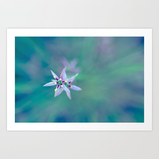 Shoot for the Stars Art Print