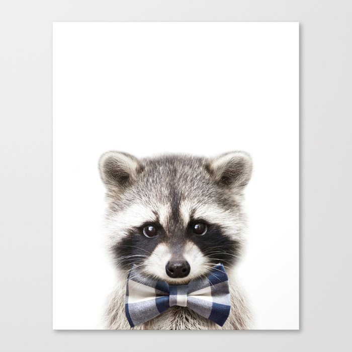 Baby Raccoon With Blue Bowtie, Baby Boy, Nursery, Baby Animals Art Print by Synplus Canvas Print