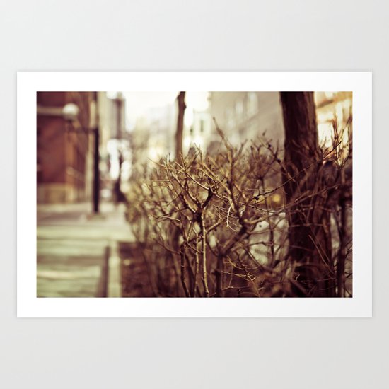 Low POV 1 Art Print