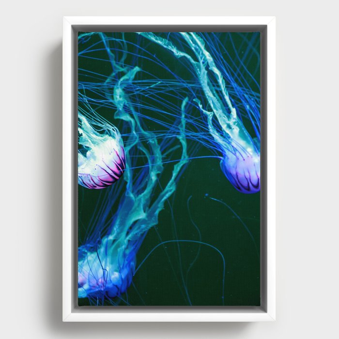 Floating Jellyfishes 5 Framed Canvas