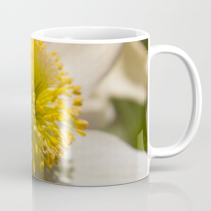 daisy Coffee Mug