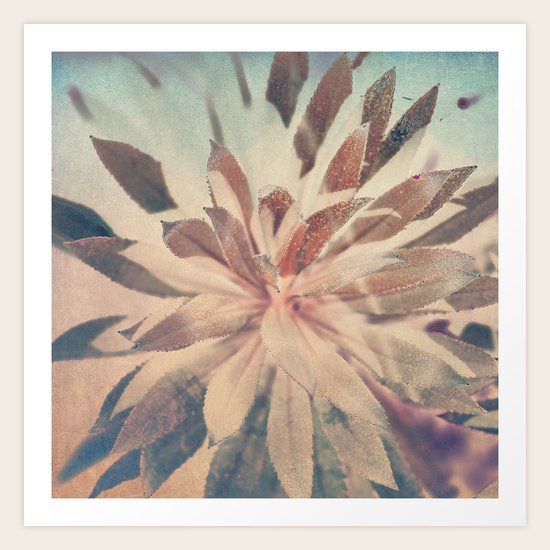 Vintage agava. Art Print