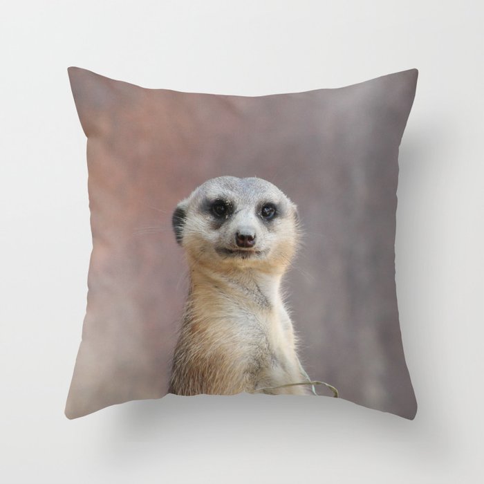 I Call Him Uncle Bob And He Was Ready For His Closeup Throw Pillow