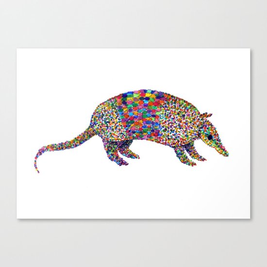 armadillo Canvas Print