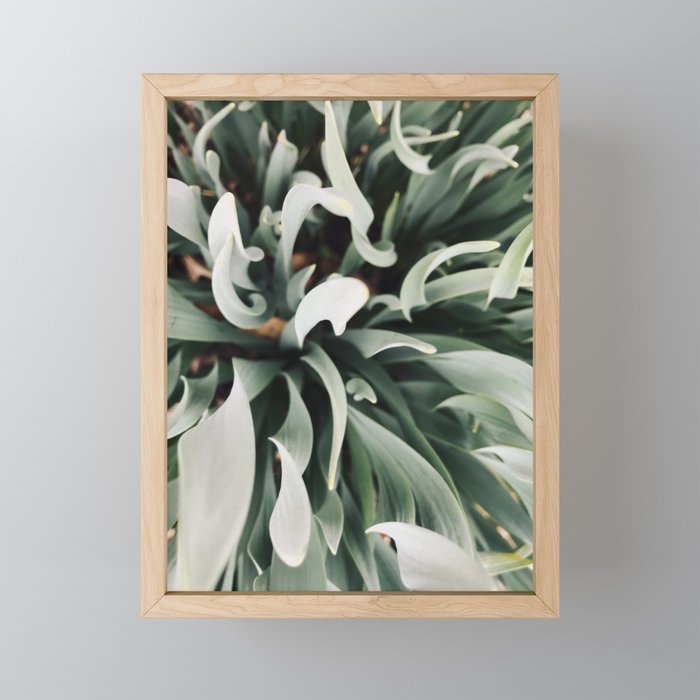 Aesthetic Sage Framed Mini Art Print