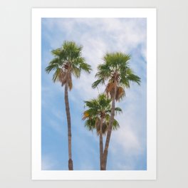 Triple Palm Trees Art Print