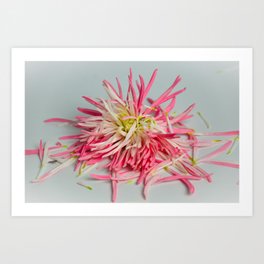 Pretty Hurts Art Print | White, Hdr, Pink, Color, Digital, Flower, Nature, Photo 