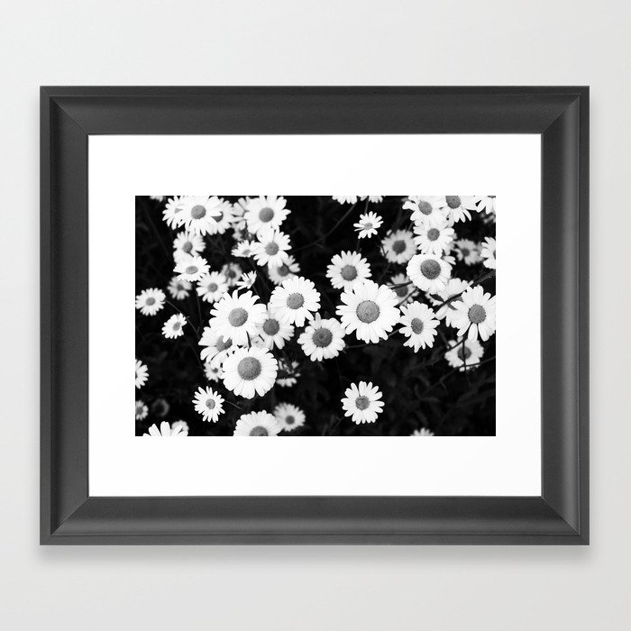Black and white daisies Framed Art Print