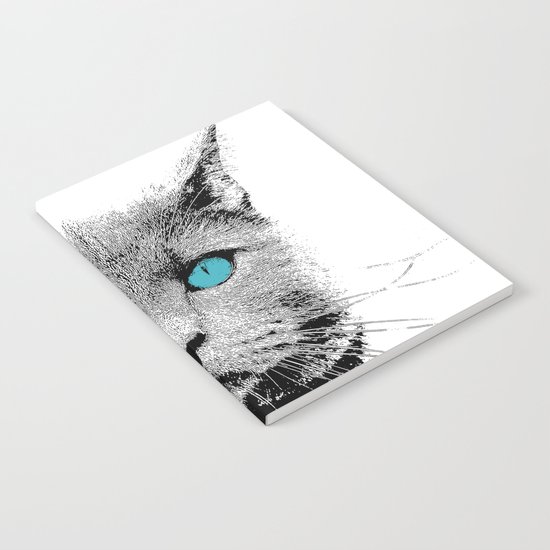 CAT 2 Notebook