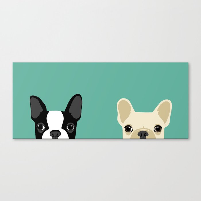 Boston Terrier & French Bulldog 2 Canvas Print