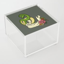 Snaked Acrylic Box