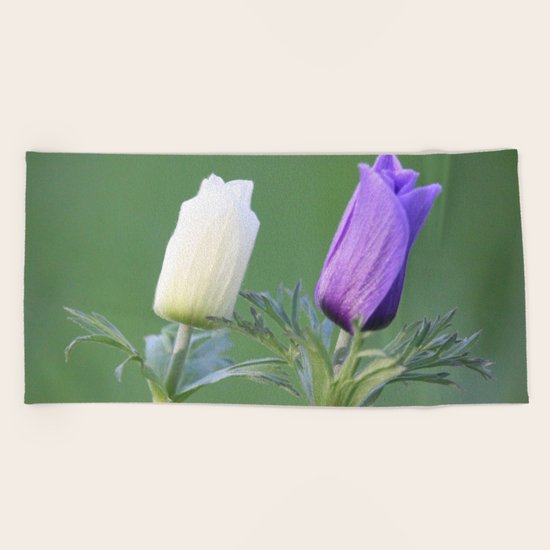 brothers Beach Towel