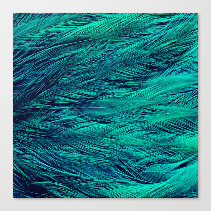Teal Feathers Canvas Print By Simply Chic By 2sweet4words Designs Society6