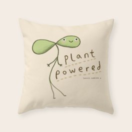 eco friendly throw pillows