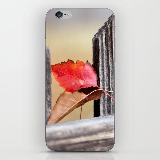 On the Fence iPhone Skin