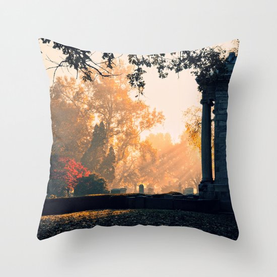 Fall morning at Green Lawn Throw Pillow