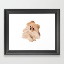 Pomeranian Framed Art Print