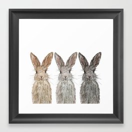 Triple Bunnies Framed Art Print