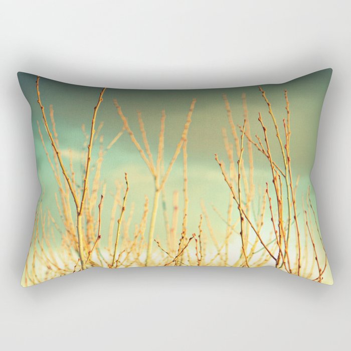 Wind in the Willows Rectangular Pillow