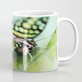 Stunning Sensational Elegant Butterfly Close Up Ultra HD Coffee Mug