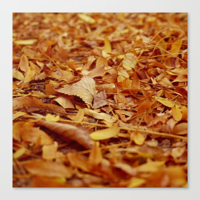 The Autumn leaves Canvas Print