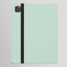 Light Aqua Green Gray Solid Color Pantone Dusty Aqua 12-5506 TCX Shades of Blue-green Hues iPad Folio Case