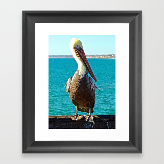Portrait of a Perky Pelican Framed Art Print