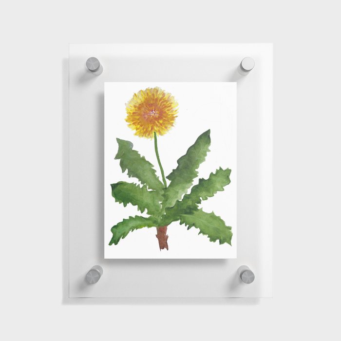 Dandelion Watercolor Floating Acrylic Print