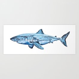 "Great White Shark" by Collin Cessna Art Print