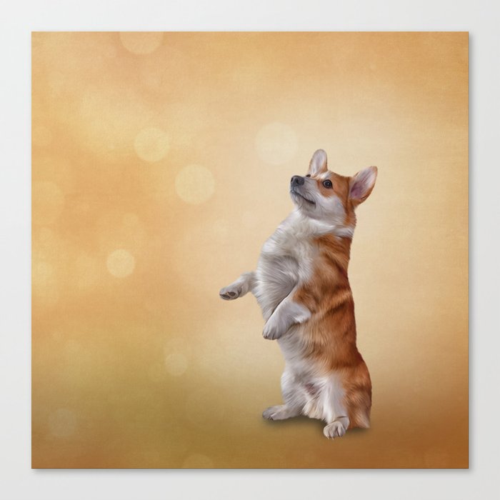 Dog breed Welsh Corgi Canvas Print