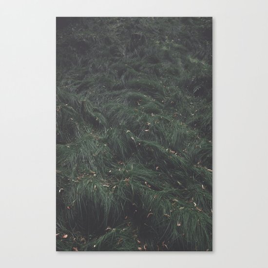 Leave(s) - Nature Photography Canvas Print