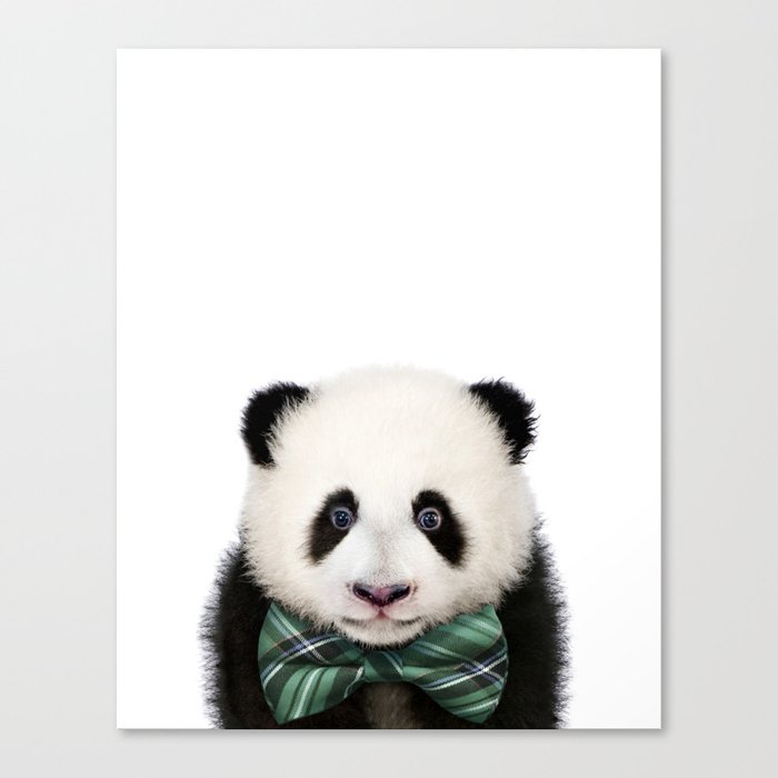 Baby Panda With Green Bowtie, Kids Art, Baby Animals Art Print by Synplus Canvas Print