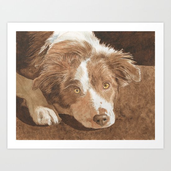 Border Collie Puppy Wren Art Print