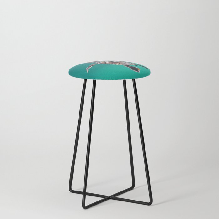 round drawing of a small turtle Counter Stool