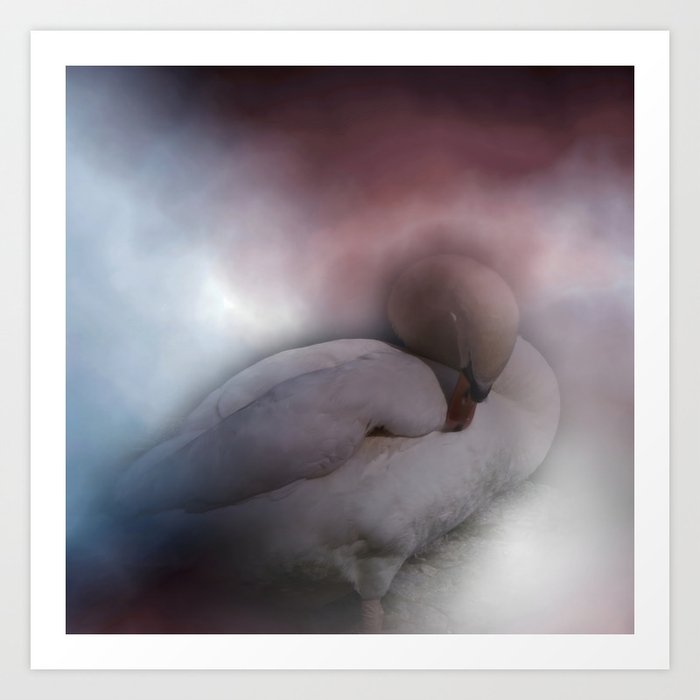 swan -04- Art Print