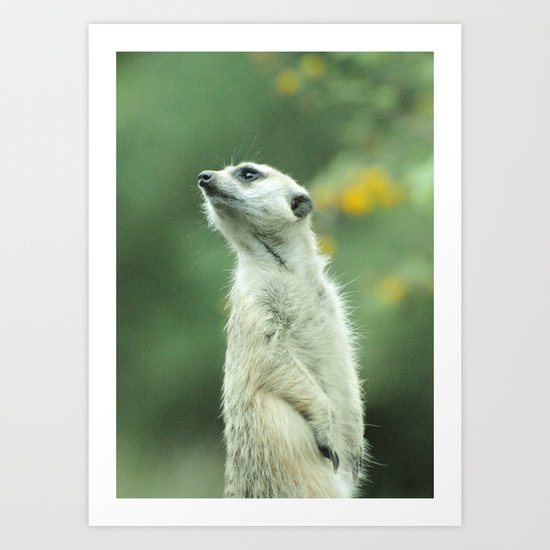 Scout Art Print