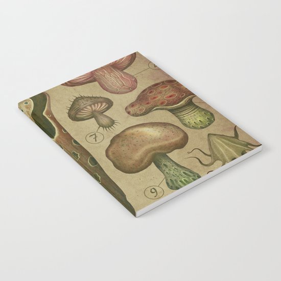 FUNGI V Notebook